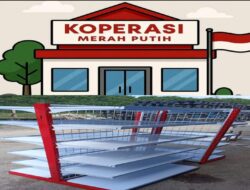 Misteri Ratusan Miliar Proyek Rak KDMP: Kantor Fiktif, Gudang Militer, dan Aroma Impor Murahan