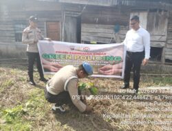 Polsek Pangkalan Kuras Tanam Bibit Pohon Buah Dukung Program Green Policing Kapolda Riau