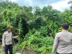 Antisipasi Kebakaran Hutan dan Lahan, Polsek Pangkalan Kuras Laksanakan Patroli Karhutla