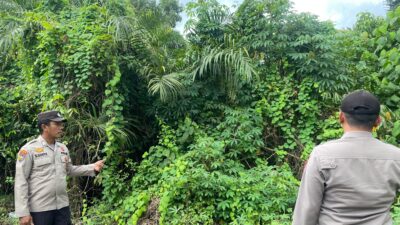 Antisipasi Kebakaran Hutan dan Lahan, Polsek Pangkalan Kuras Laksanakan Patroli Karhutla