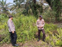 Sosialisasi Pencegahan Karhutla ke Masyarakat Teluk Meranti