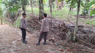 Antisipasi Kebakaran Lahan, Polsek Pangkalan Kuras Patroli Karhutla di Desa