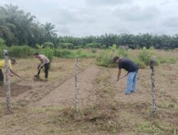 Persiapan Penanaman Jagung, Polisi dan Warga Banjar Panjang Bersinergi