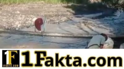 Viral di Media Sosial, Aksi Seorang Ibu Melintasi Pohon Pinang di Buge Ara Jadi Sorotan Publik