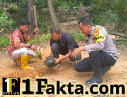 Dukung Program Kapolda Riau, Polisi Tanam Pohon di Kerumutan