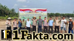 Program Ketahanan Pangan, Polsek Kerumutan dan Warga Tanam Jagung Bersama