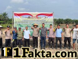 Program Ketahanan Pangan, Polsek Kerumutan dan Warga Tanam Jagung Bersama