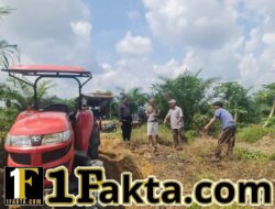 Polsek Pangkalan Kuras Pantau Pengolahan Lahan Jagung Pipil di Sialang Indah, Dukung Ketahanan Pangan