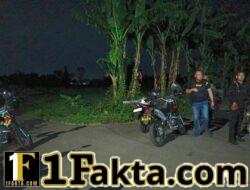 Patroli Dini Hari, Polisi di Probolinggo Kota Gagalkan Pencurian Sapi