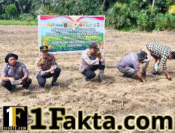 Bersama Kelompok Tani, Polisi Tanam Jagung Pipil di Bukit Gajah
