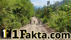 TMMD Ke-128 Kodim 1602/Ende Dimulai, Pembukaan Jalan di Desa Aelipo Capai Progres Awal