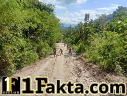 TMMD Ke-128 Kodim 1602/Ende Dimulai, Pembukaan Jalan di Desa Aelipo Capai Progres Awal