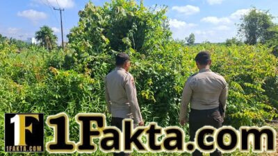 Polisi Gencarkan Sosialisasi Larangan Bakar Lahan di Pelalawan