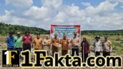 Penanaman Jagung 4 Hektare di Desa Betung Pelalawan