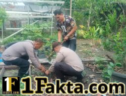 Polsek Pangkalan Kerinci Tanam Tiga Bibit Buah, Dukung Program Green Policing