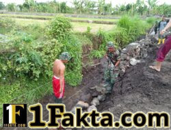 TMMD Ke-128: Personel TNI Bangun Saluran Irigasi untuk Meningkatkan Hasil Pertanian