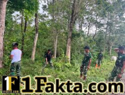Pembangunan Infrastruktur Desa, TMMD Mulai Pembersihan Jalan Sepanjang 1500 Meter
