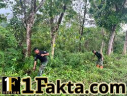 Gotong Royong Satgas TMMD dan Warga Bersihkan Jalur Pembangunan Jalan