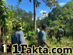 Gotong Royong TNI-Rakyat, Pembersihan Jalan TMMD di Wewewa Selatan Dimulai