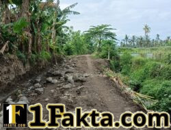 Dari Sulit Jadi Mudah, Sasaran 2 TMMD Permudah Mobilitas Petani