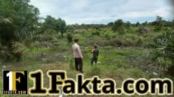 Polsek Langgam dan Koramil 09 Langgam Perkuat Sinergitas Lewat Silaturahmi di Segati