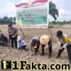 Dukung Program Presiden, Polsek Pangkalan Kerinci Garap Lahan Jagung 3 Hektare di Pelalawan