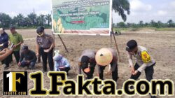 Dukung Program Presiden, Polsek Pangkalan Kerinci Garap Lahan Jagung 3 Hektare di Pelalawan