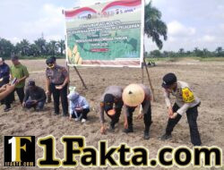 Dukung Program Presiden, Polsek Pangkalan Kerinci Garap Lahan Jagung 3 Hektare di Pelalawan