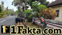 Lingkungan Bersih, Semangat Membara! Babinsa Belumbang Gerakan Kerja Bakti Kolaboratif