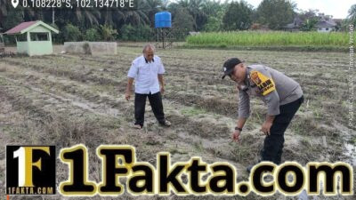 Swasembada Pangan, Polsek Ukui Turun ke Lahan Jagung Warga Desa Bukit Gajah