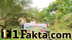 Polsek Pangkalan Kuras Tanam Bibit Manggis, Dukung Program Green Policing di Pelalawan