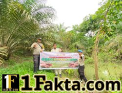 Polsek Pangkalan Kuras Tanam Bibit Manggis, Dukung Program Green Policing di Pelalawan