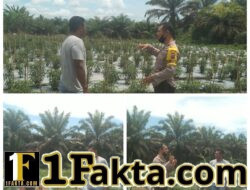 Polri Dukung Asta Cita, Bhabinkamtibmas Monitoring Ketahanan Pangan