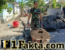Semangat Satgas TMMD Ke-128 Kodim 1615/Lotim Kebut Pengerjaan Rabat Jalan Usaha Tani