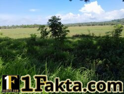 Hampir 4 Tahun Bendungan Irigasi Hagu Hancur, Apakah Kami Petani Peudada Tidak Berhak Menerima Bantuan Dari Pemerintah….?!!!