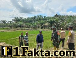 Dukung Asta Cita Presiden, Polisi Pantau Kebun Padi di Kecamatan Langgam