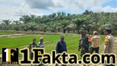 Dukung Asta Cita Presiden, Polisi Pantau Kebun Padi di Kecamatan Langgam