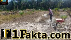 Swasembada Pangan, Polsek Ukui Bersama Petani Garap Lahan Jagung