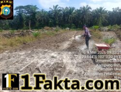 Swasembada Pangan, Polsek Ukui Bersama Petani Garap Lahan Jagung