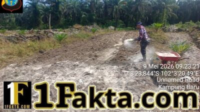 Swasembada Pangan, Polsek Ukui Bersama Petani Garap Lahan Jagung