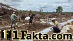 Program Ketahanan Pangan Desa Tambak Dipantau Bhabinkamtibmas Polsek Langgam