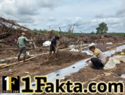 Program Ketahanan Pangan Desa Tambak Dipantau Bhabinkamtibmas Polsek Langgam