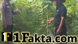 Bhabinkamtibmas Cek Lahan Gambas, Dukung Program Ketahanan Pangan di Pangkalan Kuras