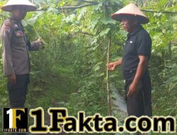 Bhabinkamtibmas Cek Lahan Gambas, Dukung Program Ketahanan Pangan di Pangkalan Kuras