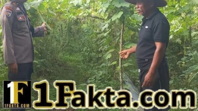 Bhabinkamtibmas Cek Lahan Gambas, Dukung Program Ketahanan Pangan di Pangkalan Kuras
