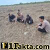 Dukung Program Asta Cita, Polsek Kuala Kampar Cek Lahan Jagung Pipil Warga
