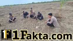 Dukung Program Asta Cita, Polsek Kuala Kampar Cek Lahan Jagung Pipil Warga