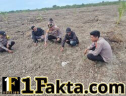 Dukung Program Asta Cita, Polsek Kuala Kampar Cek Lahan Jagung Pipil Warga