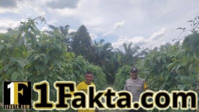Polri Hadir Dukung Ketahanan Pangan Masyarakat di Kecamatan Langgam
