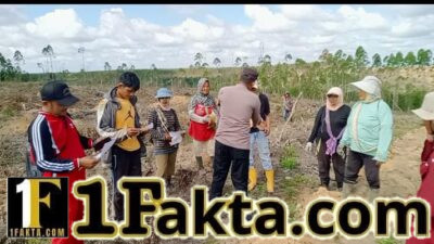 Dukung Program Pangan, Polsek Kerumutan Pantau Lahan Petani di Desa Pangkalan Tampoi